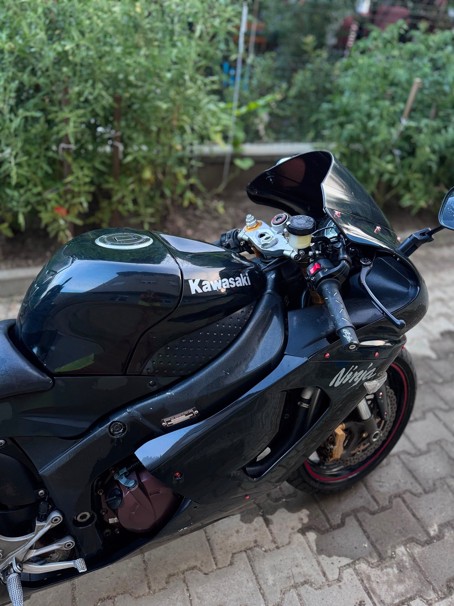 Kawasaki ninja - 6