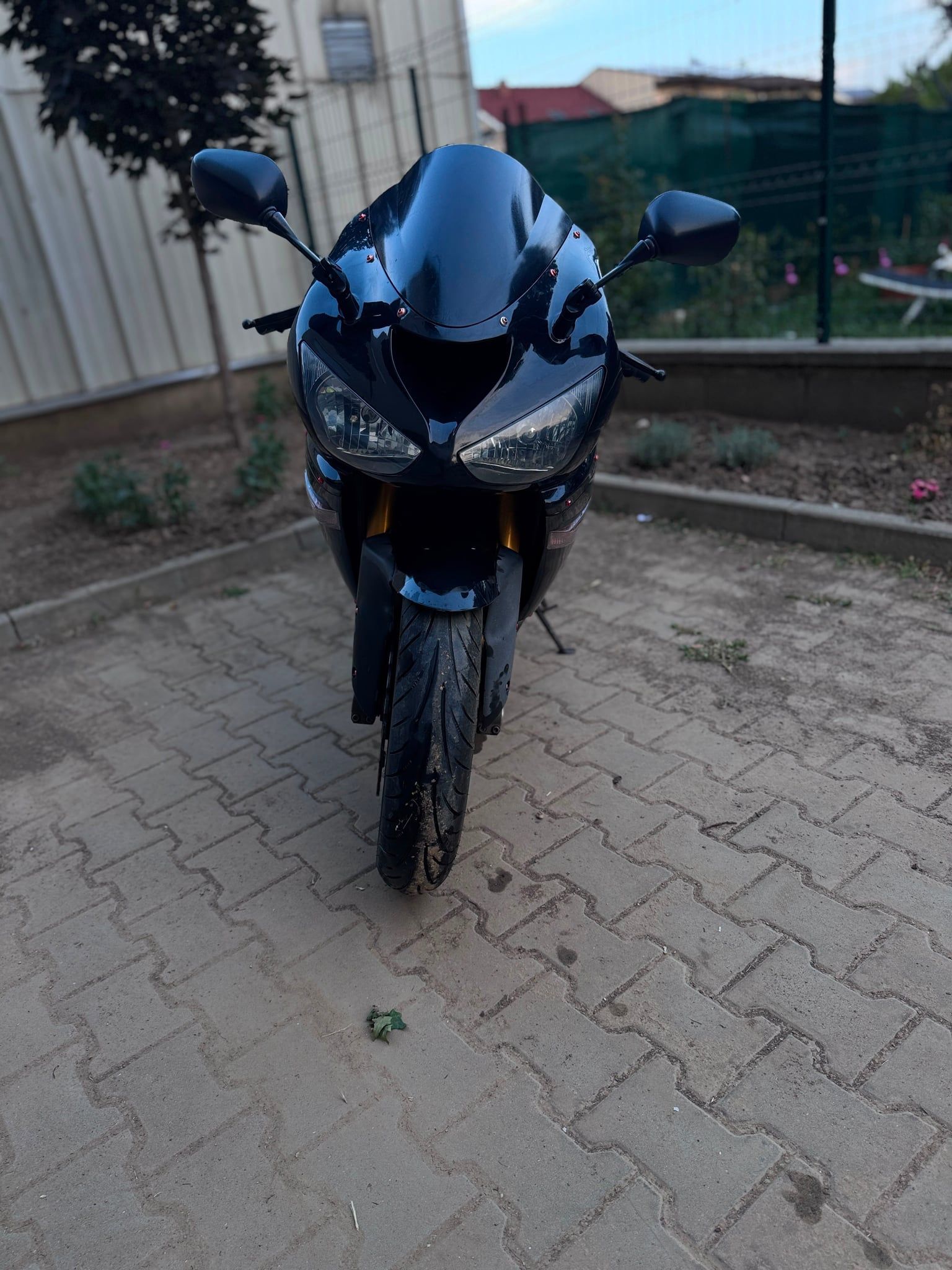 Kawasaki ninja