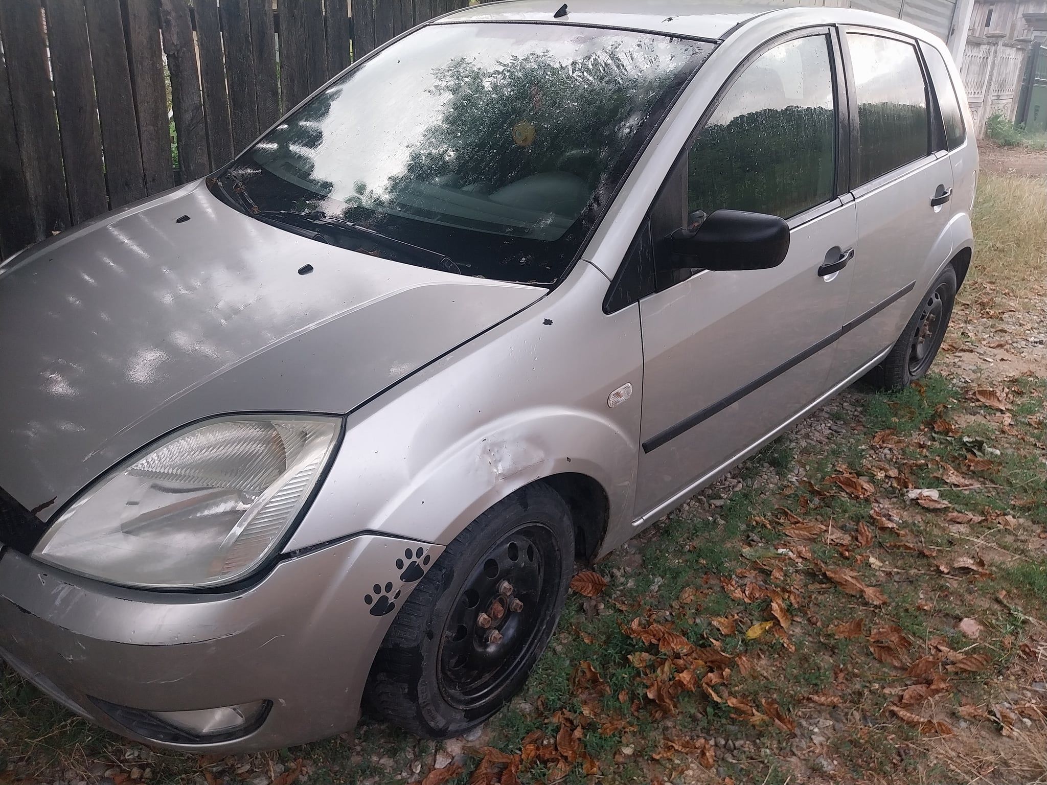 Ford Fiesta - 8