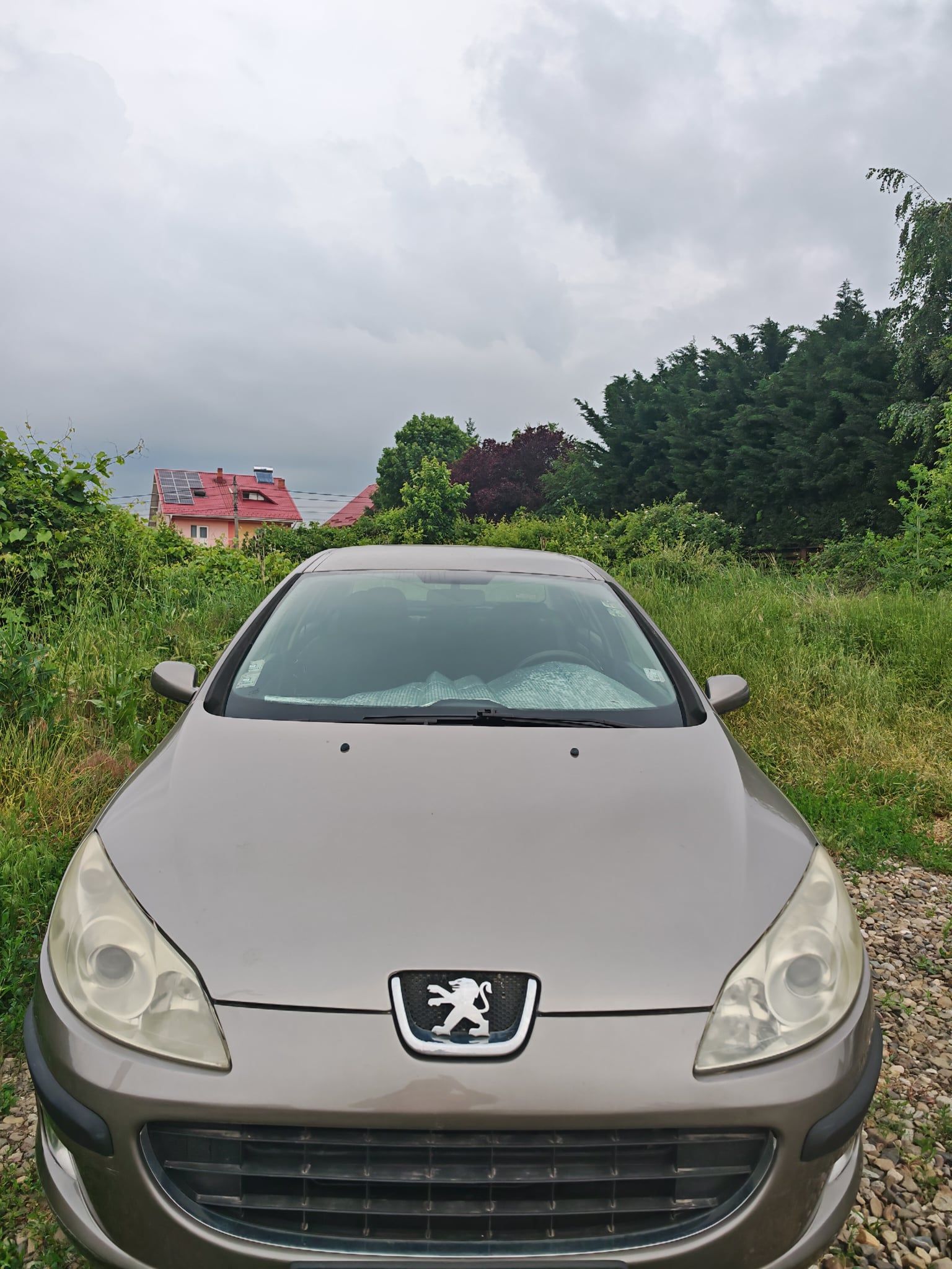 Peugeot 407